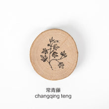 Load image into Gallery viewer, JIANWU 1pc Animal forest Post series log rubber seal cute Round stamps Wood clear stamps for scrapbooking DIY bullet journal